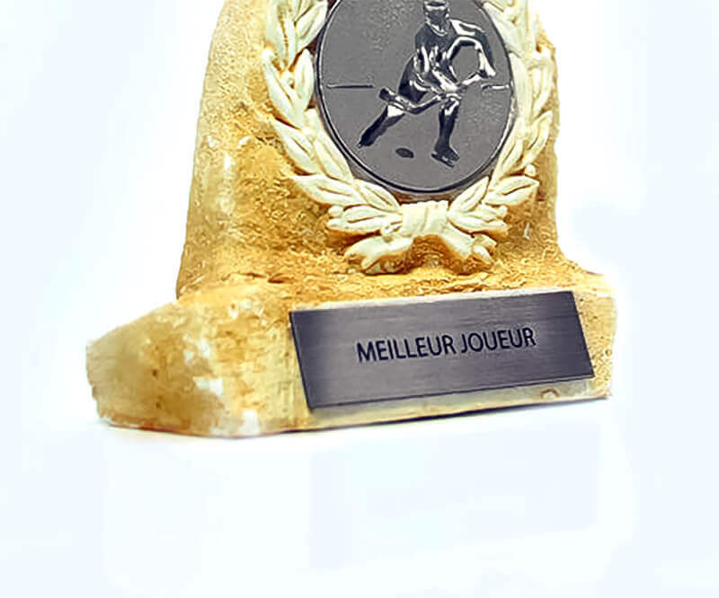 Metallex™, placa trofeo